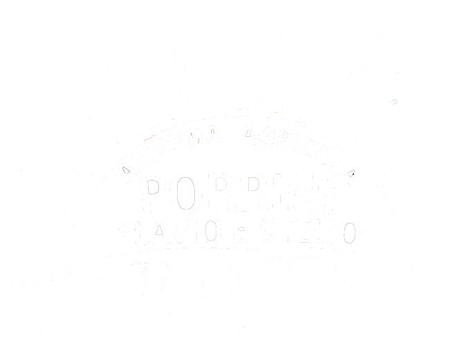 L'azienda